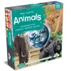 * Familjespel | Bbc Earth: Animals (Swe)