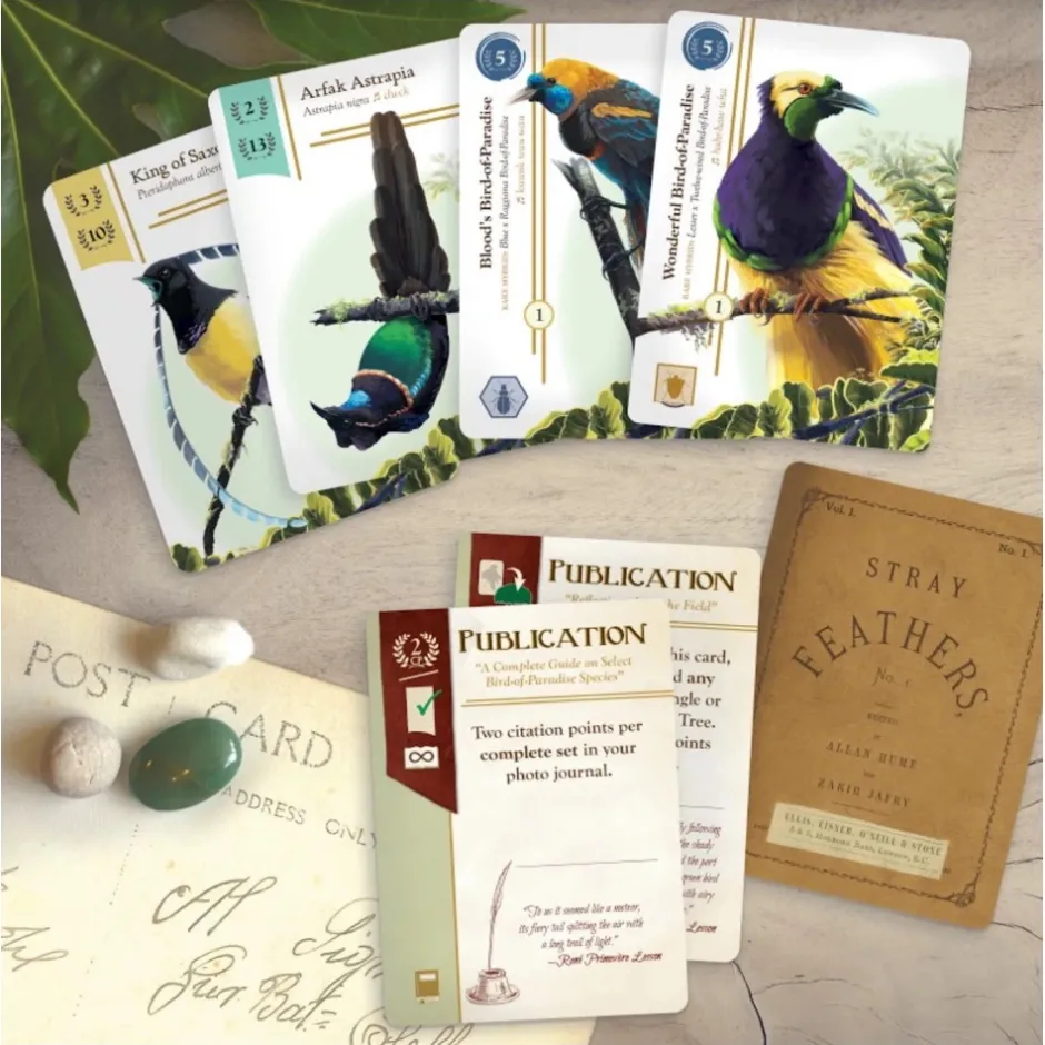 birdwatcher_1.webp Renegade Game Studio Kortspel | Birdwatcher