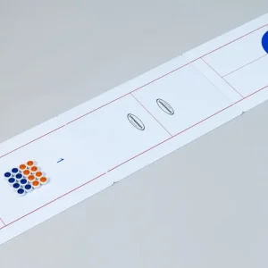 Gamesson Festspel | Curling & Shuffleboard