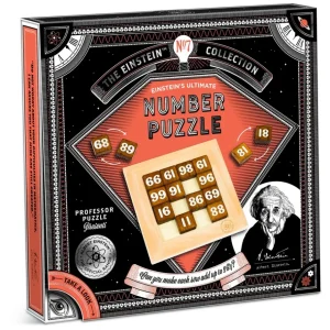 Professor Puzzle Knep & Knåp | Einstein Number Puzzle